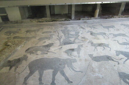 Mosaique d'Orphée