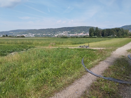 Area