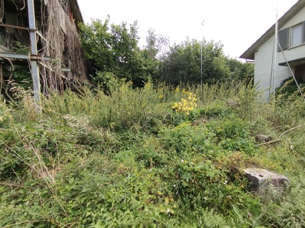 Area