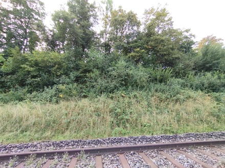 Area from the trackside