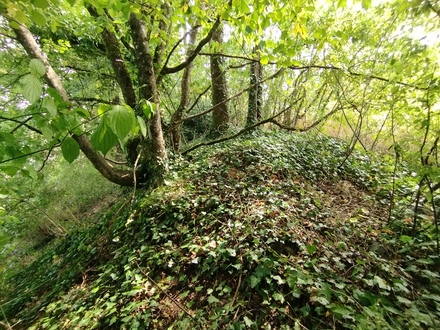Place