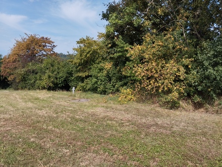 Area