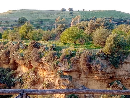 Hephaisteion, as seen across the ridge, from the Temple of Castor and Pollux.
