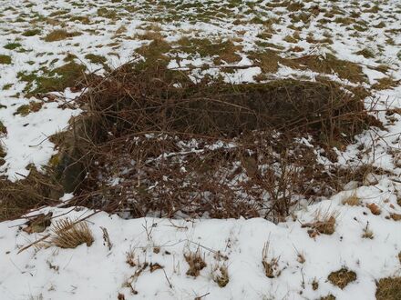 Gammel Hestehave Cist