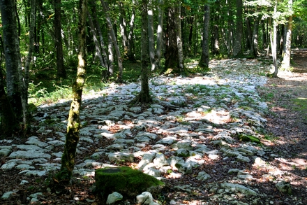 Voie de la Blaise - Faverolles (Haute Marne)