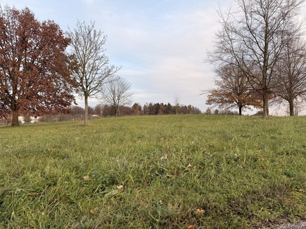 keltischer Grabhügel Hexenbuckele