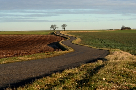 Voie Romaine Langres Troyes vers  Leffonds Mormant (Haute Marne)