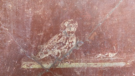 House of the Menander
