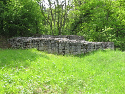 Rümikon