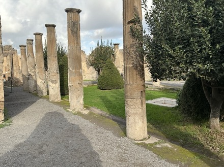 Domus