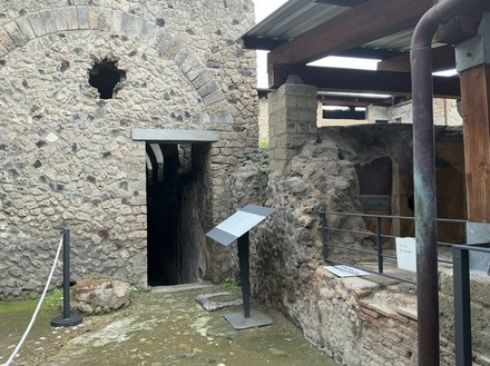 Domus