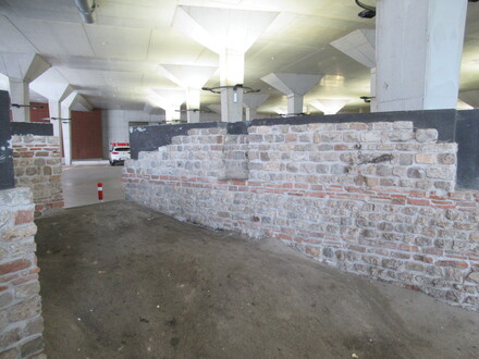 domus Tongres