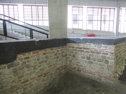 domus Tongres