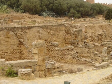Roman walls of Chellah