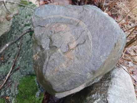 Plakimer