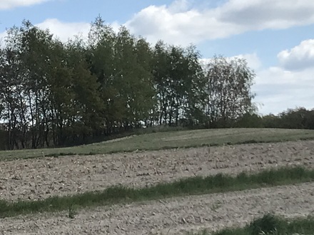 Kików Tumulus (Kurhan)