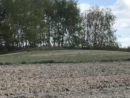 Kików Tumulus (Kurhan)