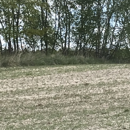 Kików Tumulus (Kurhan)