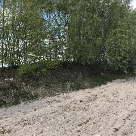 Kików Tumulus (Kurhan)