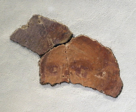 Fresco villa Maasbracht