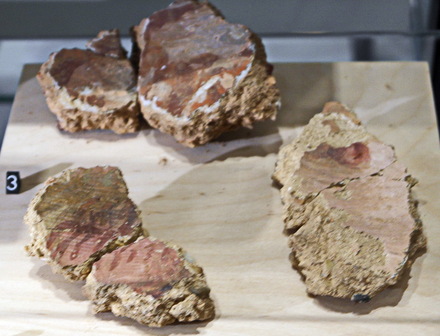 Frescos from Kerkrade-Holzkui