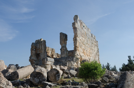 Majden Anjar