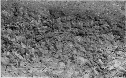 Mammoth Cave, Excavations 1957