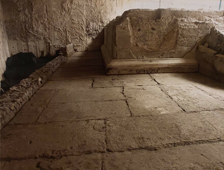 Floor of the ambulacrum