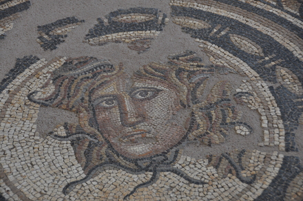 Medusa mosaic