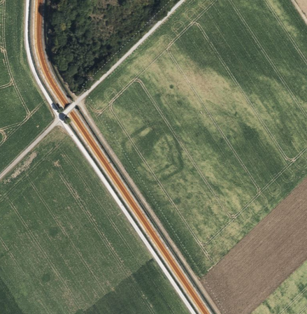 Mogenlijke Burguis nabij Widdersdorf (D-NRW)