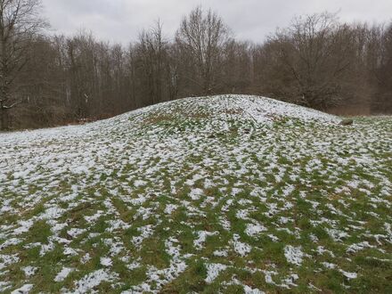 Gammel Hestehave Mound (41179)
