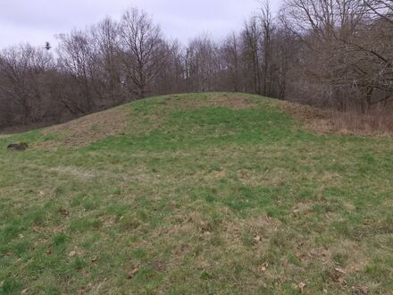 Gammel Hestehave Mound (41179)
