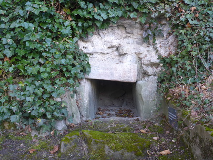 Cloaca