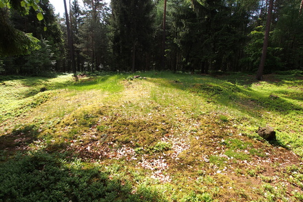 Wp 10-9 „Im Breitenbrunner Bannholz“