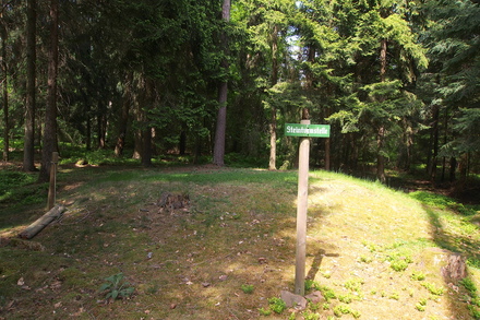 Wp 10-9 „Im Breitenbrunner Bannholz“