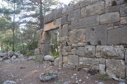 Quadrangular Agora