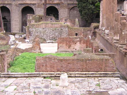 Largo Argentina Station Aquarum