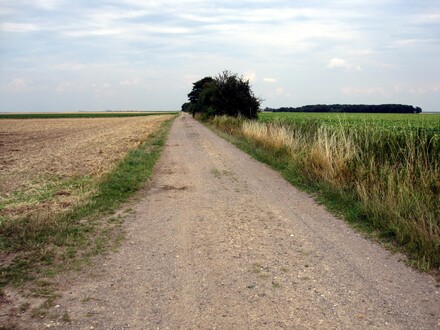 Römerstraße bei Erp