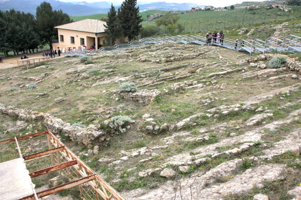 Sabucina