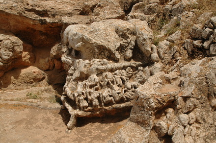 Slonta Pigs