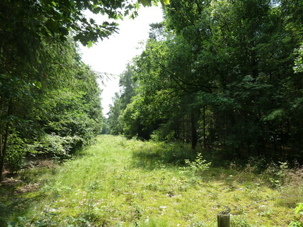 Romeinse weg bij Kroppestraat