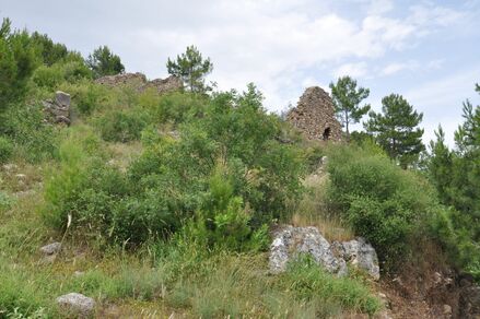Syedra