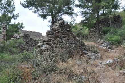 Syedra