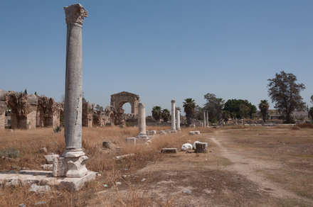 Tyre Al Bass Hippodrome
