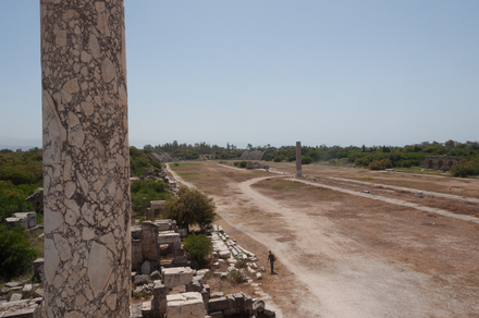 Tyre Al Bass Hippodrome