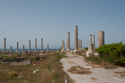 Tyre City Palaestra