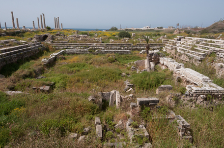 Tyre City Square Arena