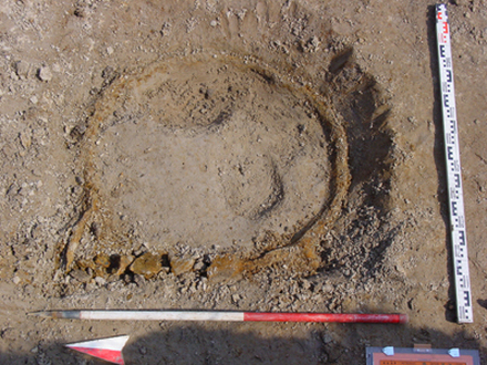 Wielband Amelisweerd