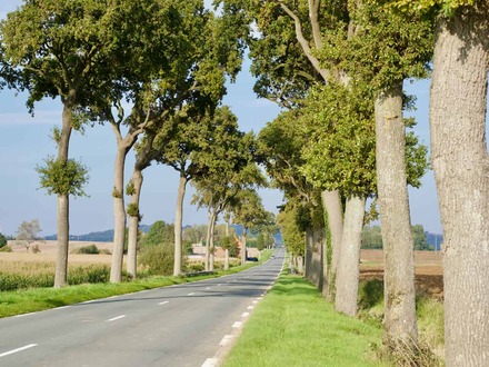 Voie Romaine de Thérouanne à Cassel