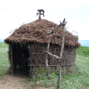 Antigonia, Shepherd hut